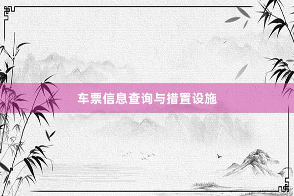 车票信息查询与措置设施