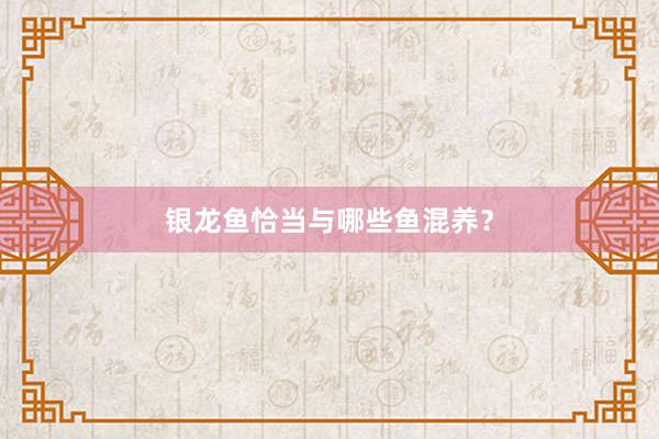 银龙鱼恰当与哪些鱼混养？