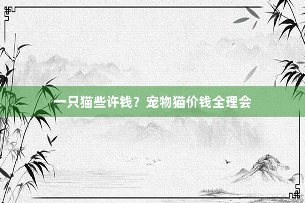 一只猫些许钱？宠物猫价钱全理会
