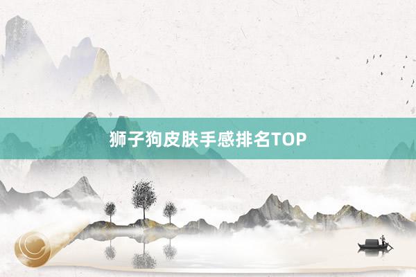 狮子狗皮肤手感排名TOP