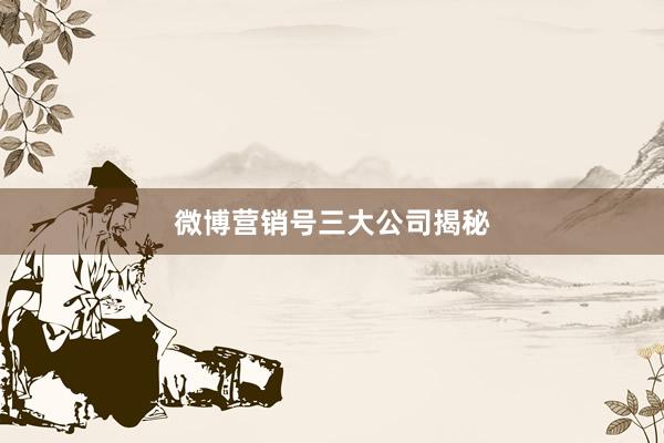 微博营销号三大公司揭秘